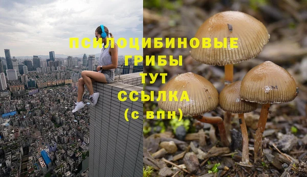 каннабис Сосновый Бор