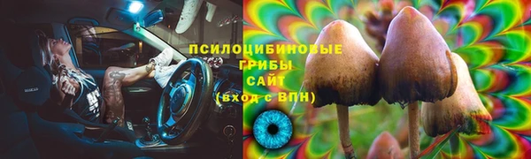 шишки Сосновка