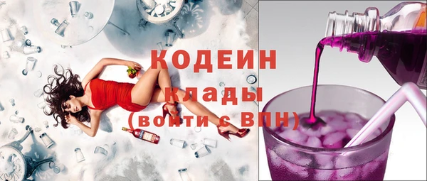 шишки Сосновка