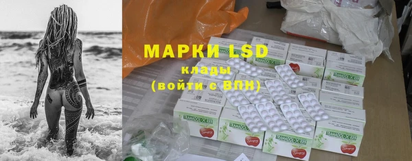 шишки Сосновка