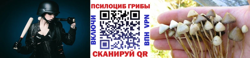 Галлюциногенные грибы MAGIC MUSHROOMS  Ачхой-Мартан 